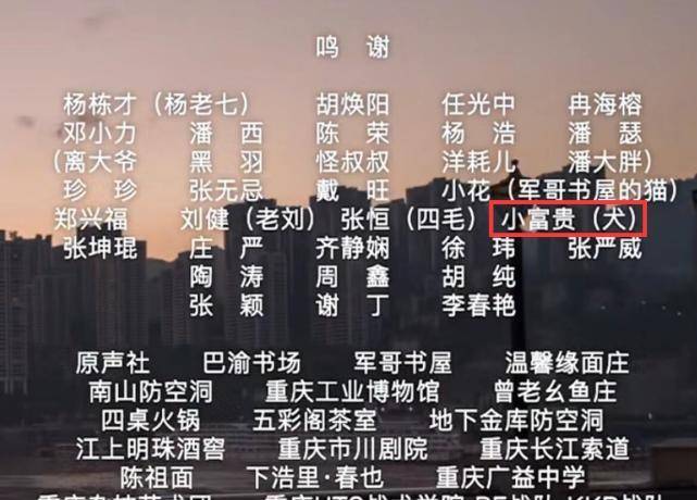 2024全年资料免费大全，一站式获取所有你需要的知识