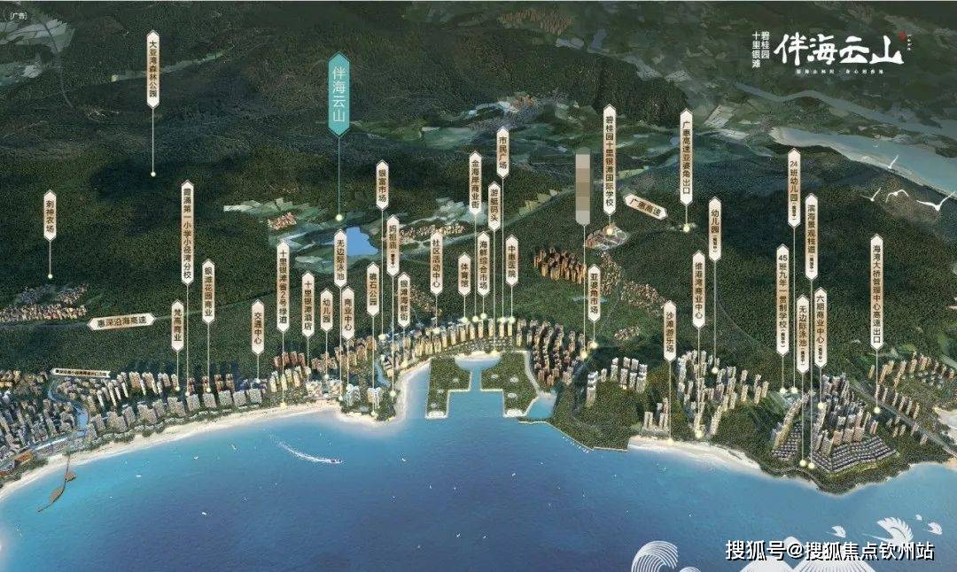 正版马会免费资料大全专业，探索优质资源的海洋
