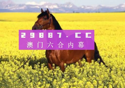澳门全年资料免费大全，探索与发现之旅（XXXX年）