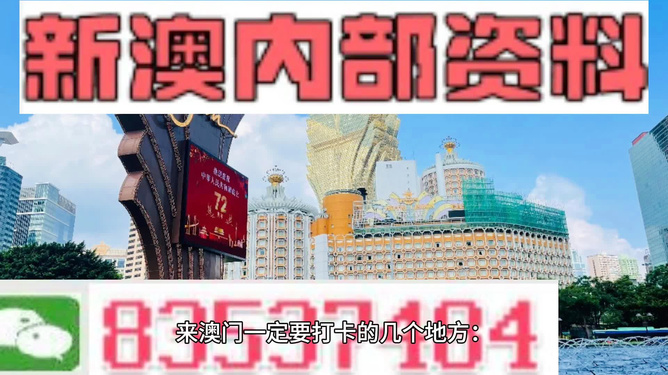 新澳门精准资料期期精准，探索与解读