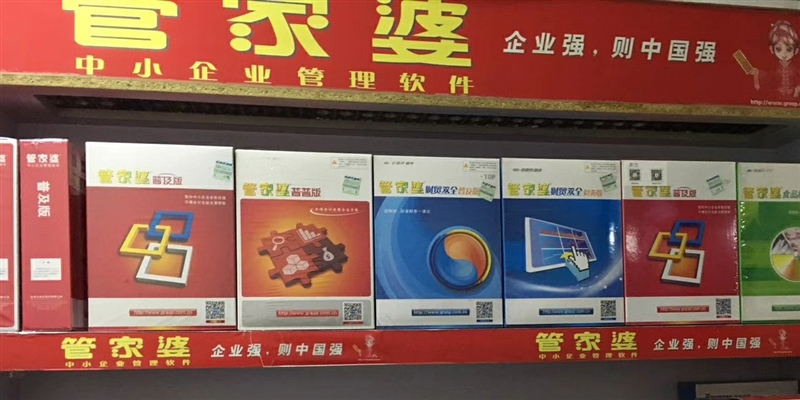 管家婆全年资料，洞悉商业运营的秘密武器