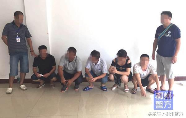 今晚六开彩开奖，揭晓开奖结果与背后故事