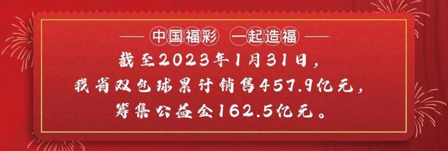 揭秘2023年生肖彩票奥秘，一肖一码100%中奖传奇
