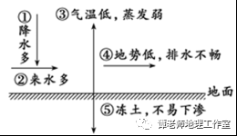 探索二码出特现象，背后的原理与应用前景