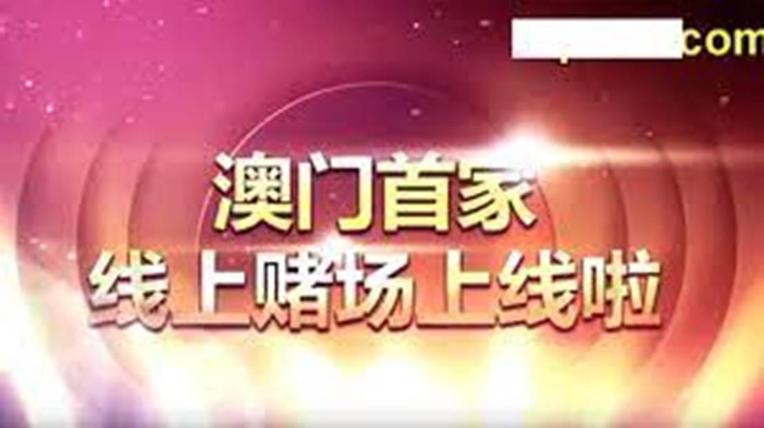 澳门天天资料大全，探索多元文化与生活方式的独特魅力