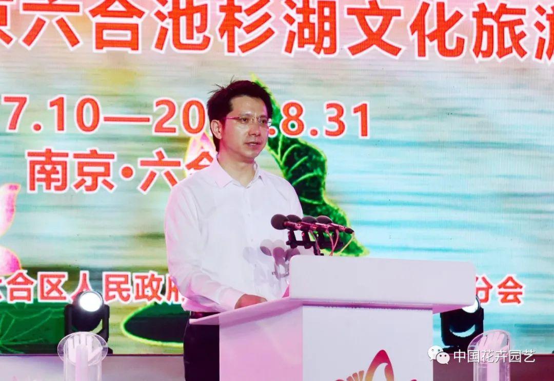 澳门六合开彩全年开奖结果查询最新消息表格图片详解